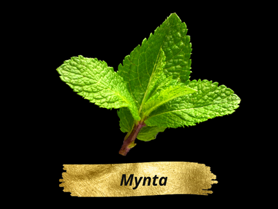 Mynta