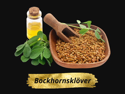 Bockhornsklöver